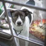 dreamstime_xxl_94789550