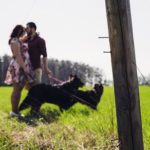 dreamstime_xxl_95643975