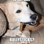 What Are BullySticks Dog Parent Academy
