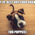 Dog Parent Academy top 10 dry puppy food