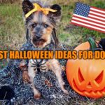 doggy usa halloween