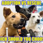 Adoption Vs Rescue DPA
