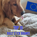 dog parent academy bullystick eu